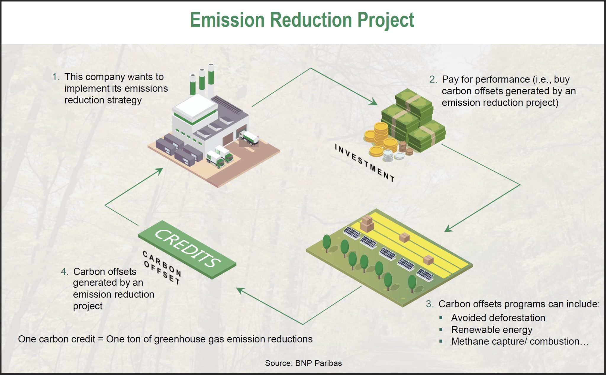 Carbon Credits 101: Introduction to Voluntary Emissions Reduction